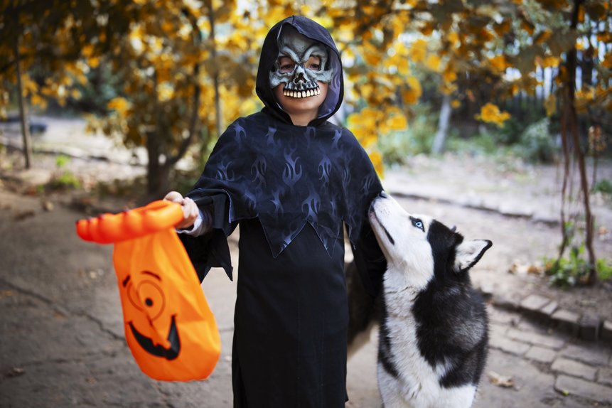 The Halloween Hazards Hiding In Plain Sight Around Your Pet