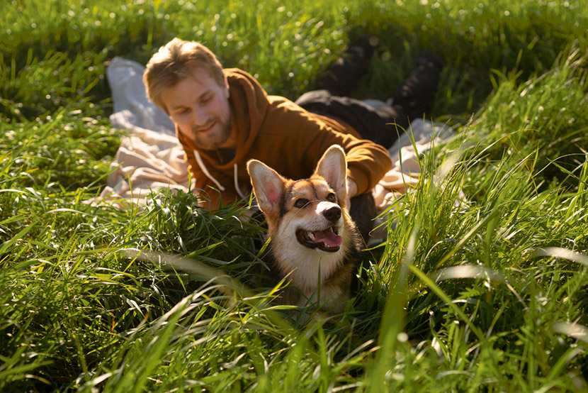 Kennel Cough: What Pet Parents Should Know This Summer