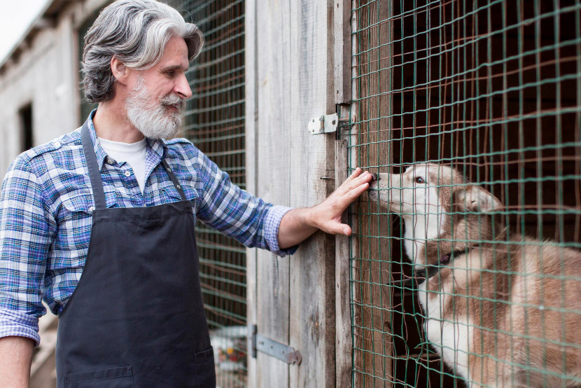 Protecting Your Dog From Kennel Cough When Boarding in San Tan Valley